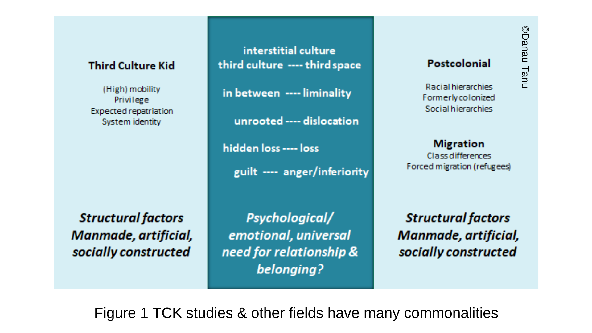 Figure 1 TCK studies & other fields have many commonalities