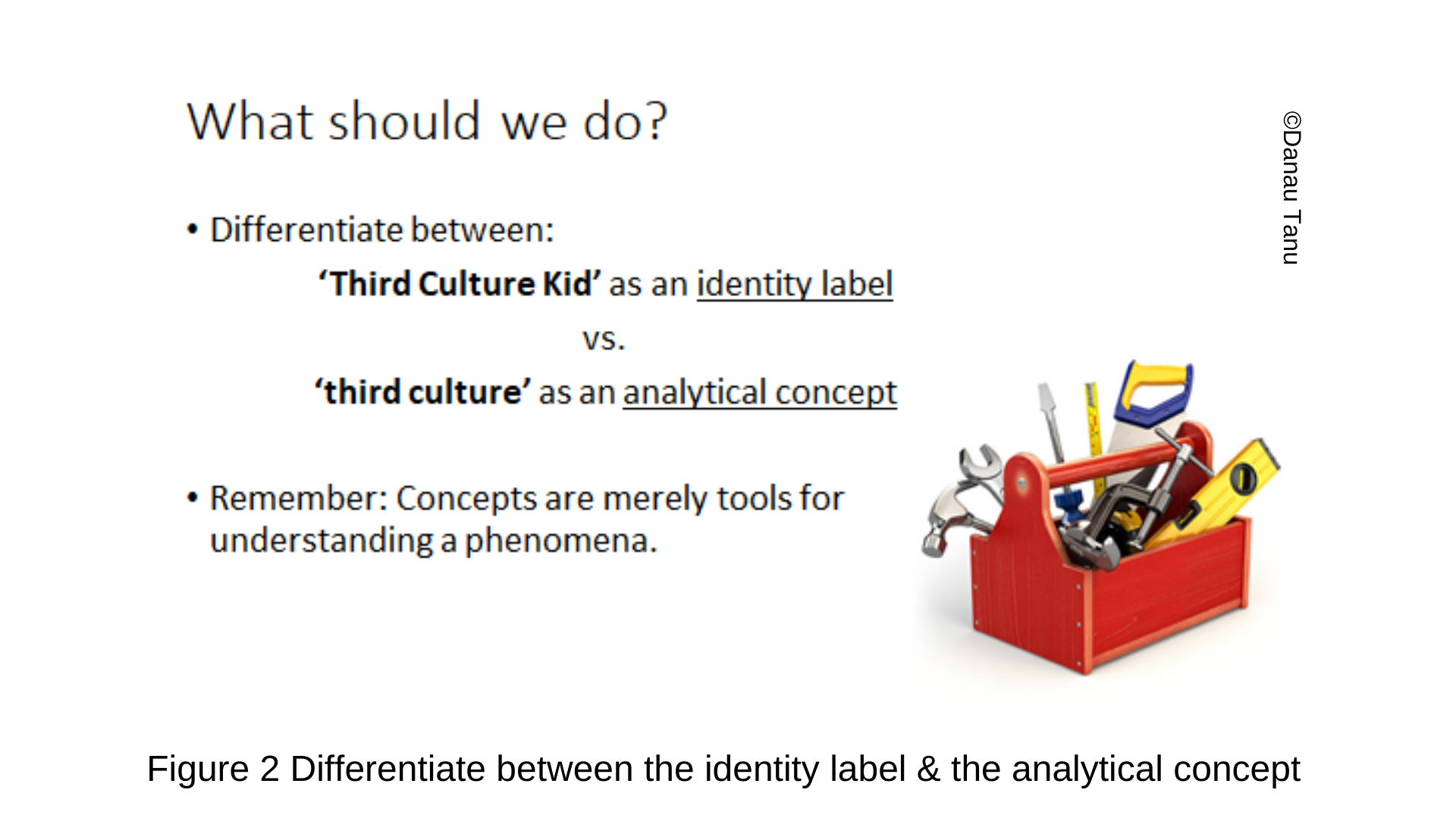 Figure 2 Differentiate between the identity label & the analytical concept